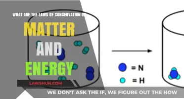 Understanding the Laws of Conservation of Matter and Energy