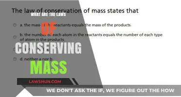 Understanding the Laws of Conserving Mass: Principles and Applications