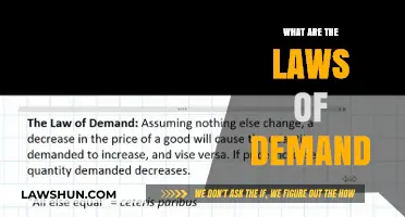 Exploring the Fundamental Principles: What Are the Laws of Demand?