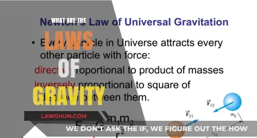 Unraveling the Mysteries: A Deep Dive into Gravity's Laws