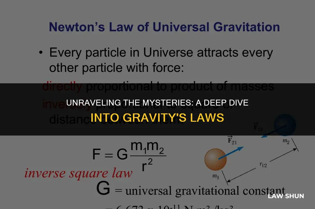 what are the laws of gravity