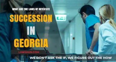 Understanding Georgia's Intestate Succession Laws: A Comprehensive Guide
