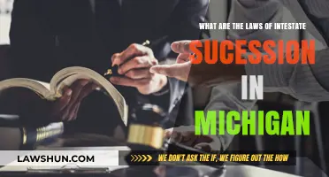 Understanding Michigan's Intestate Succession Laws: A Comprehensive Guide