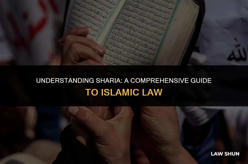 what are the laws of islam