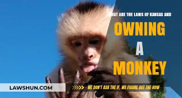 Kansas Monkey Ownership Laws: What You Need to Know