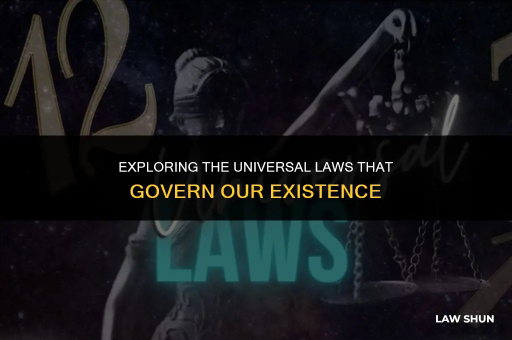 what are the laws of life