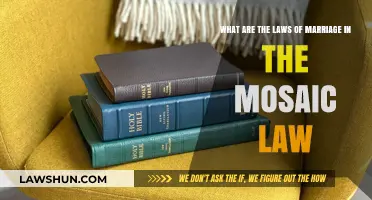 Understanding Mosaic Law's Marriage Laws: Principles, Practices, and Provisions