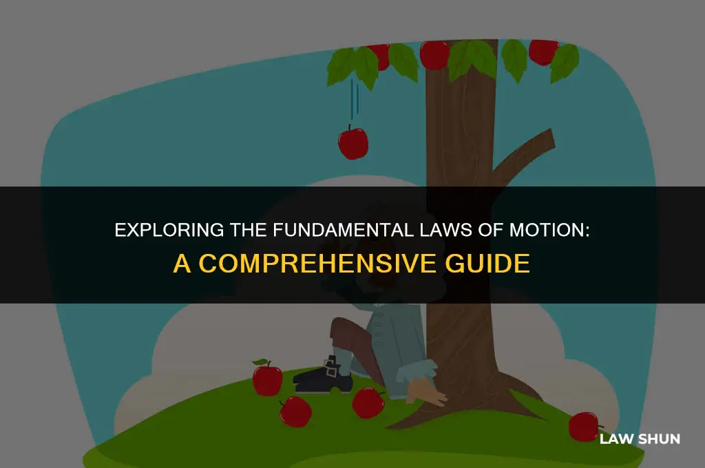 what are the laws of motion