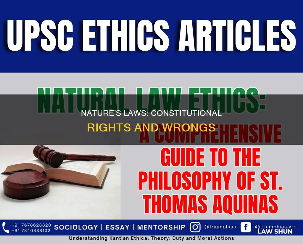 what are the laws of nature according to the constitution