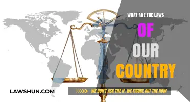 Understanding the Legal Framework: Exploring Our Country's Laws and Regulations