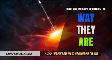 Why Do the Laws of Physics Exist as They Do?