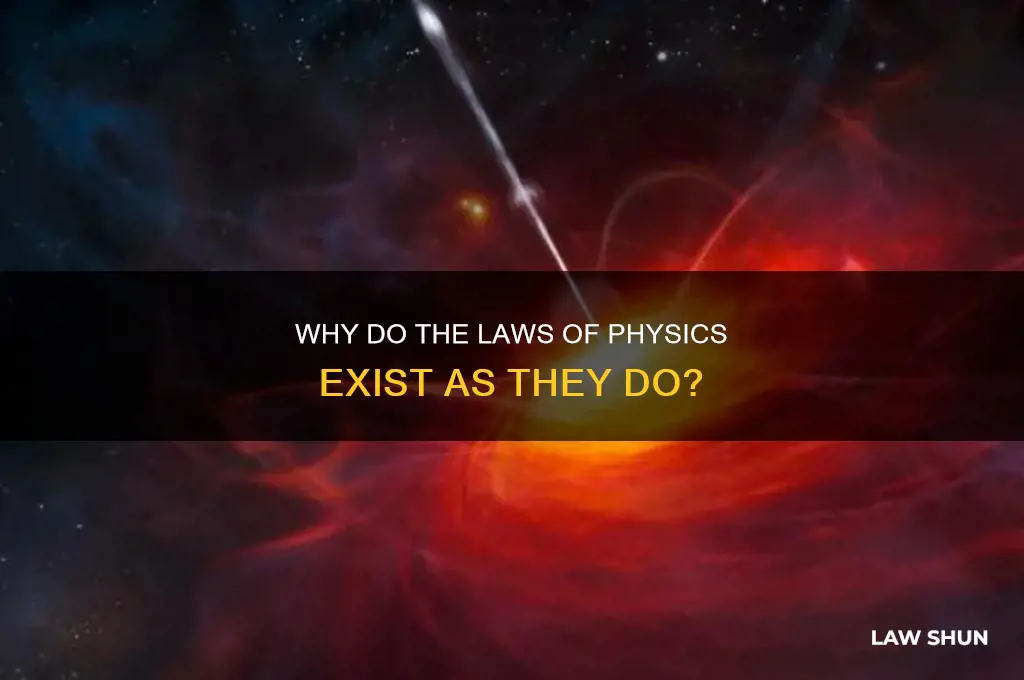 what are the laws of physics the way they are