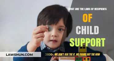 Understanding Child Support Recipient Rights and Legal Obligations