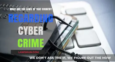 Understanding Cyber Crime Laws: A Comprehensive Guide to National Legislation