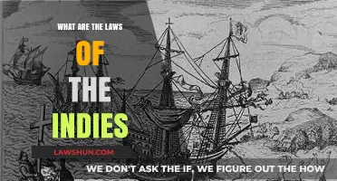 Indulgent Laws of the Indies: A Historical Overview