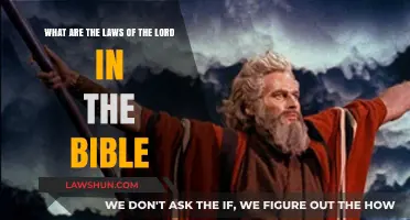 Understanding God's Commandments: Exploring the Laws of the Lord in Scripture