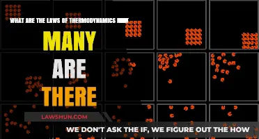 Understanding Thermodynamics Laws: Exploring Their Count and Core Principles