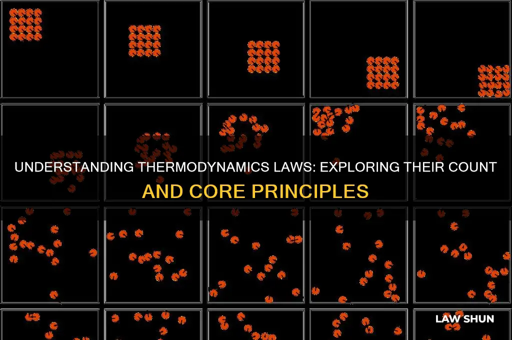 what are the laws of thermodynamics how many are there