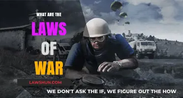 Understanding the Complex Framework: An Introduction to the Laws of War