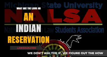 Reservation Laws: Understanding Native American Legal Systems