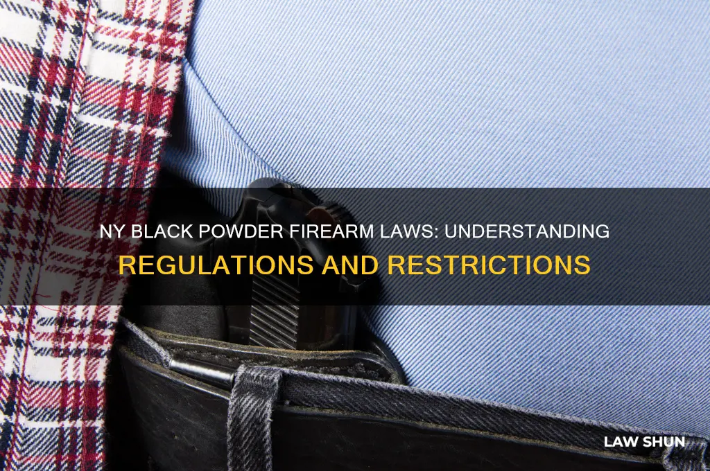 what are the laws on black powder firearm in ny