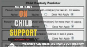 Understanding Child Support Laws: Your Rights and Responsibilities Explained