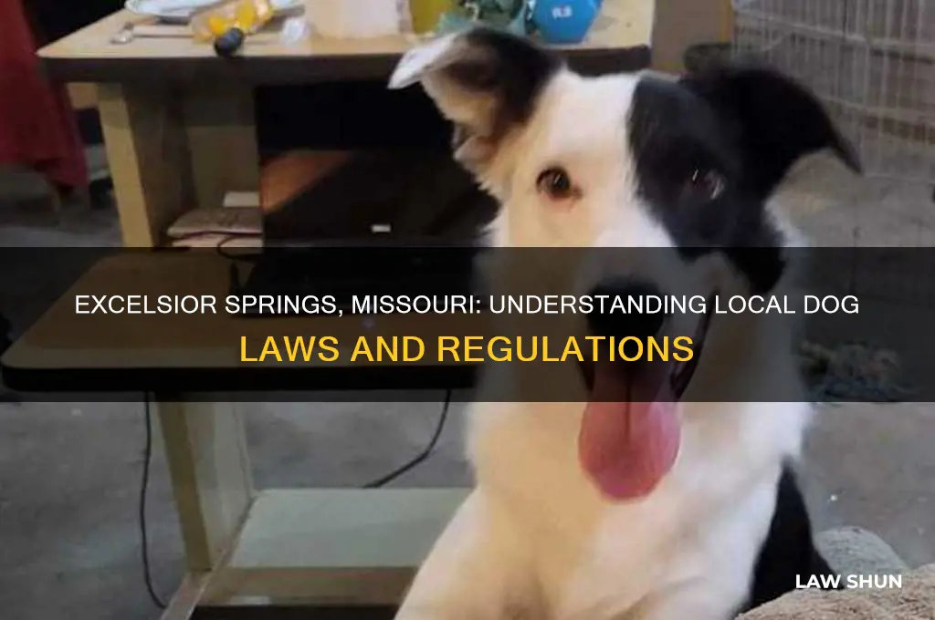 what are the laws on dogs in excelsior springs missouri
