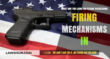 Felons and Firearms: Understanding Possession Laws and Legal Restrictions