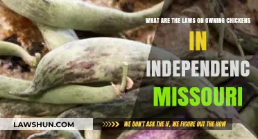 Independence, Missouri Chicken Ownership Laws: What You Need to Know