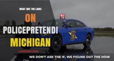 Police Impersonating Experts in Michigan: Legal Boundaries and Consequences