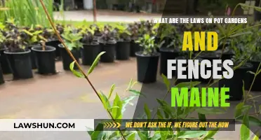 Maine's Pot Garden and Fence Laws: What You Need to Know