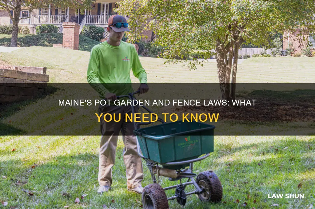 what are the laws on pot gardens and fences maine