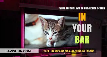 Bar Projection Screen Laws: What You Need to Know