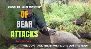 Self-Defense Laws: Understanding Your Rights During Bear Attacks