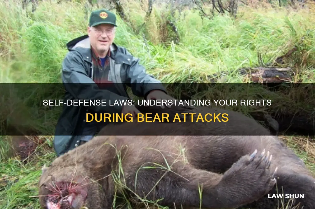 what are the laws on self defense of bear attacks