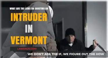 Vermont's Self-Defense Laws: When Can You Shoot an Intruder?