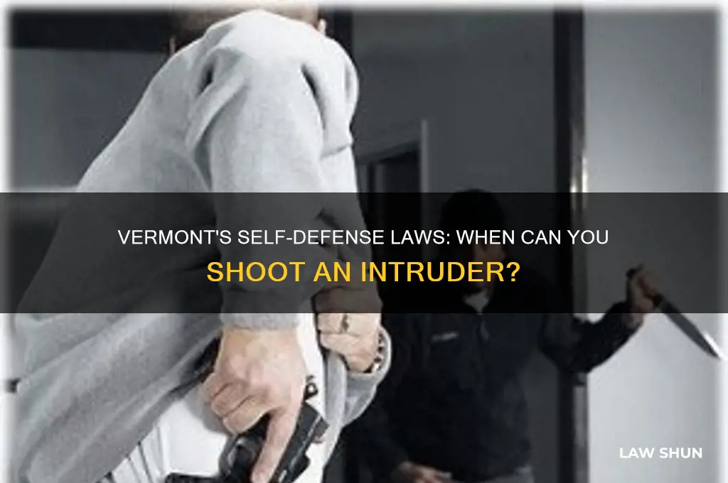 what are the laws on shooting an intruder in vermont