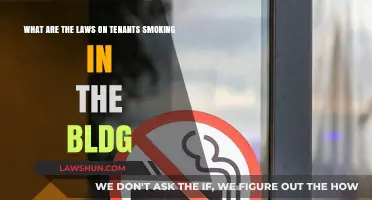 Tenant Smoking Rights: Understanding Building Laws and Restrictions