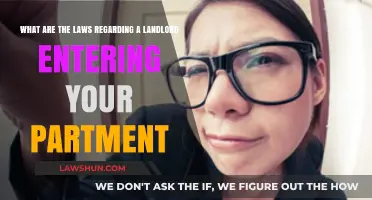 Landlord Entry Rights: Understanding Legal Limits for Apartment Access