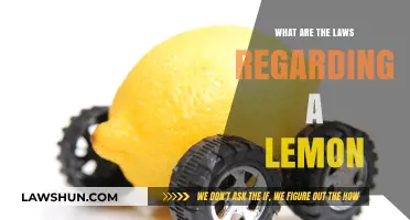 Understanding Lemon Laws: Your Rights and Protections as a Consumer