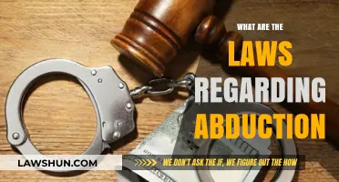 Understanding Abduction Laws: Legal Frameworks and Protections Explained