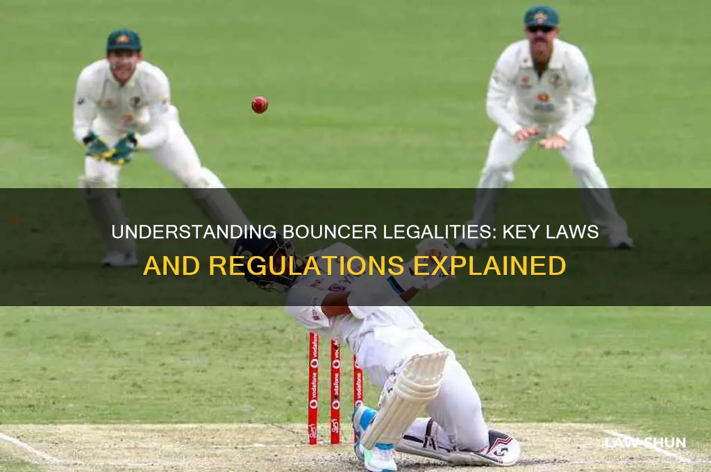 what are the laws regarding bouncers