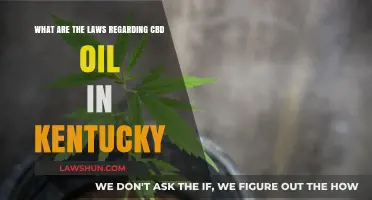 Kentucky CBD Oil Laws: Understanding Legal Regulations and Compliance