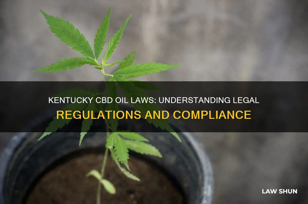 what are the laws regarding cbd oil in kentucky