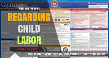 Understanding Child Labor Laws: Legal Protections and Global Regulations Explained