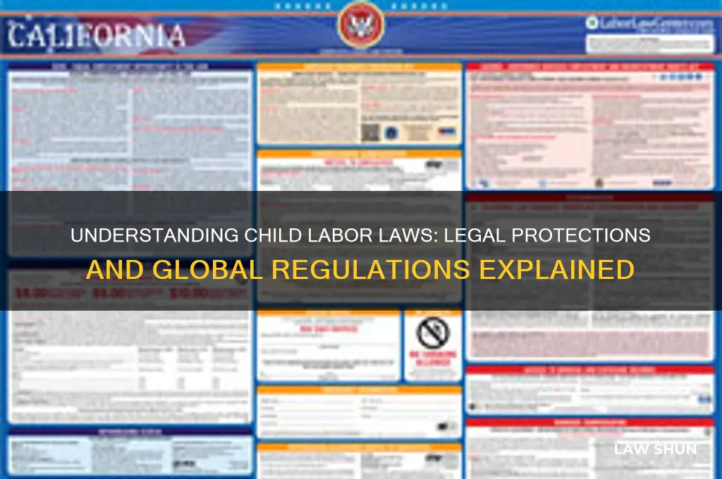 what are the laws regarding child labor