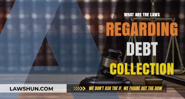 Understanding Debt Collection Laws: Your Rights and Protections Explained