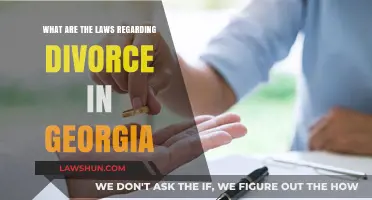Georgia Divorce Laws: Understanding Legal Requirements and Processes
