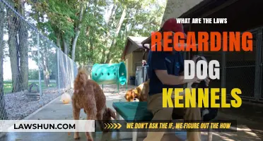 Understanding Dog Kennel Laws: Regulations, Requirements, and Compliance Tips