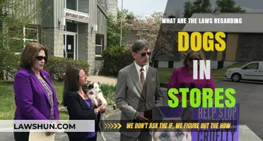 Dogs in Stores: Understanding Legal Rights and Retail Policies